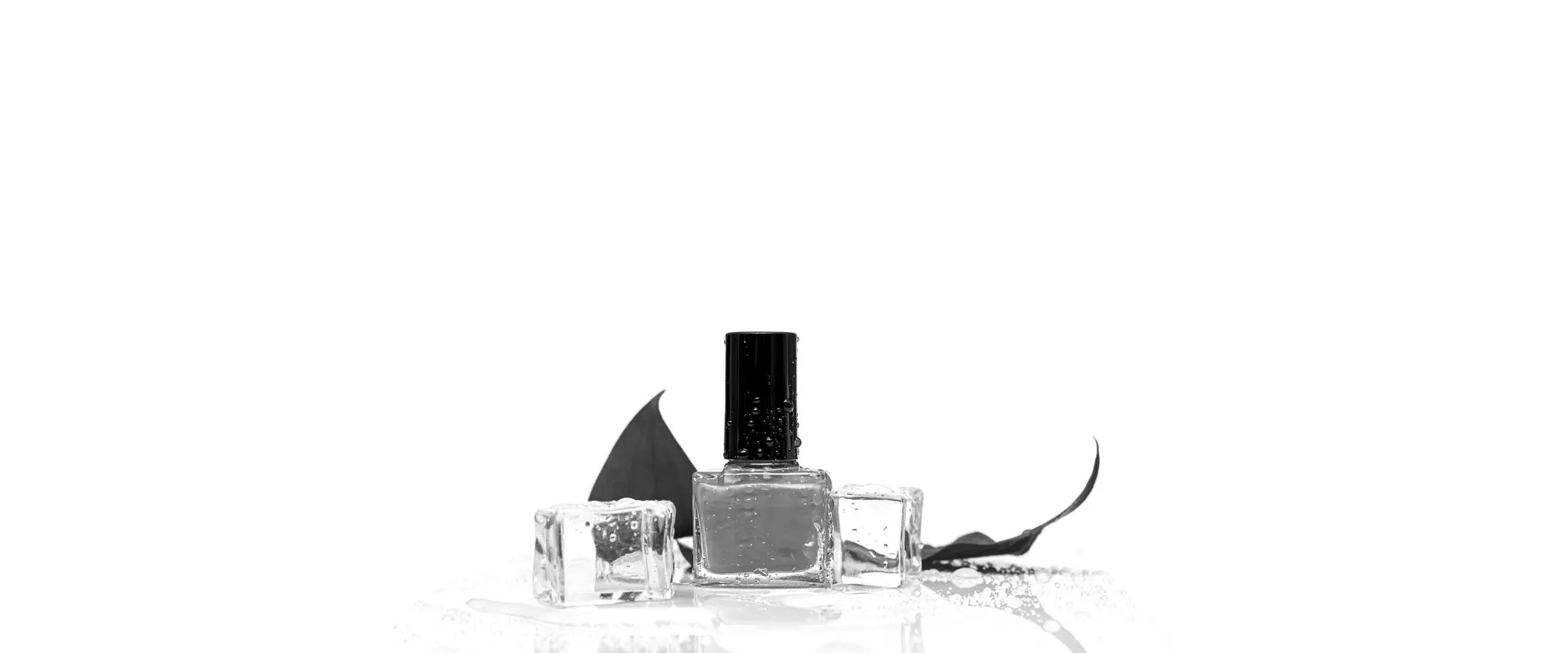 contacts-image-footer